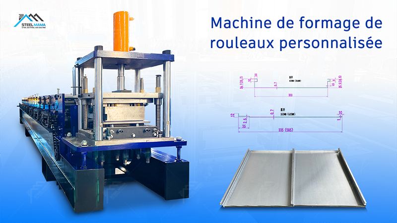 Machine de formage de rouleaux personnalisés Machine de formage de rouleaux personnalisés