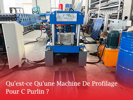 2025.01.08 津巴布韦 手动C-Abby--新闻.jpg